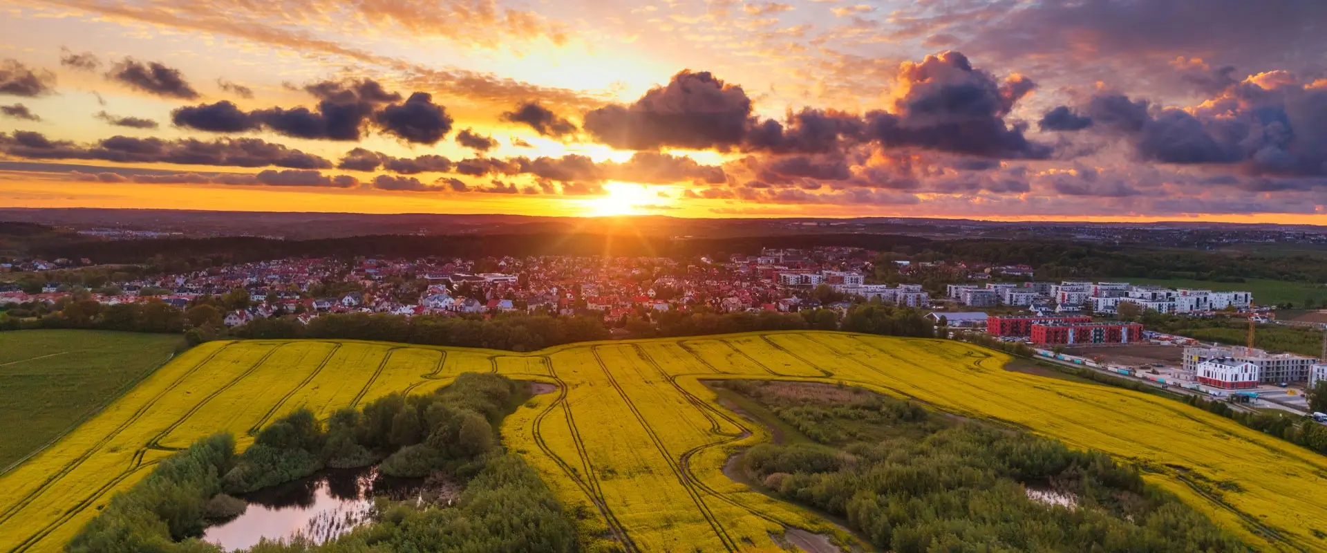 section-video-1920x800